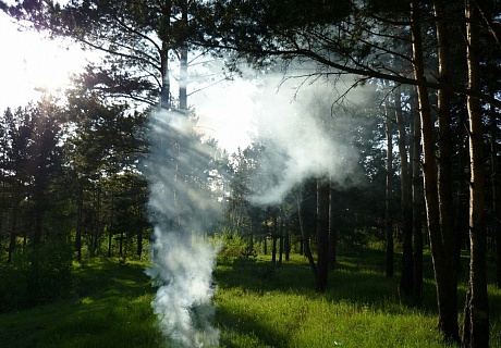 В Ухте пропавшего в лесу мужчину обнаружили с помощью дыма