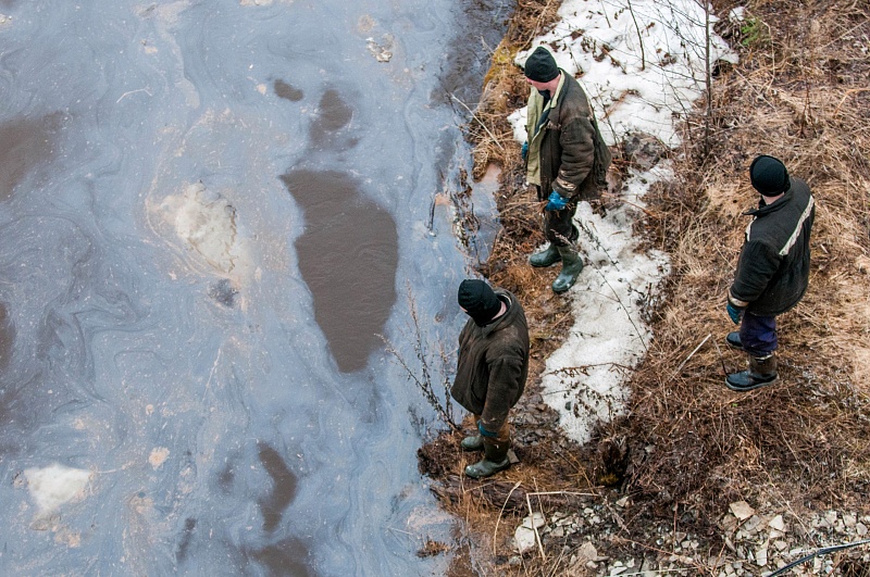 Рыбаки Печорского бассейна сообщили Путину и Бастрыкину о загрязнении рек в Коми