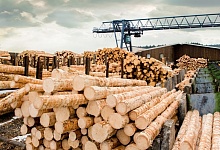 Объем инвестиций в лесную отрасль в 2017 году в Коми составил 30 млрд рублей