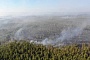 В Минприроды назвали сумму ущерба от лесных пожаров с начала года